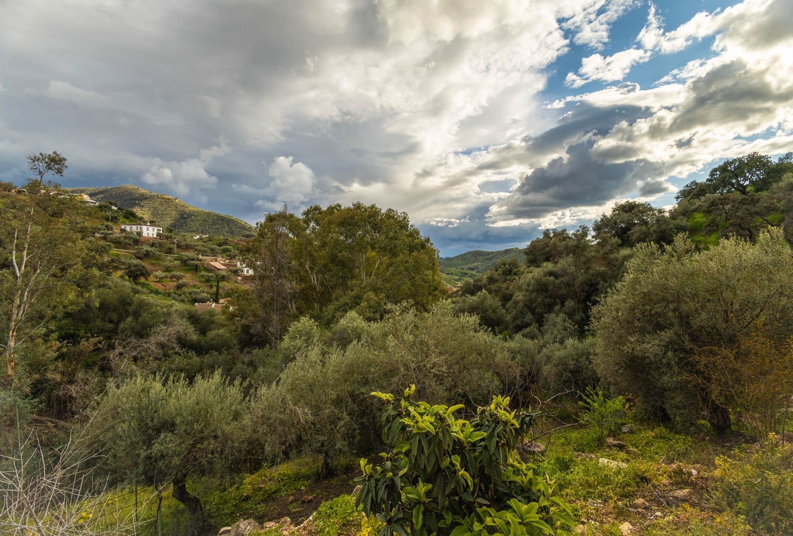 4 sovrum Hus till salu i Casabermeja med garage - 420 000 € (Ref: 9687465)