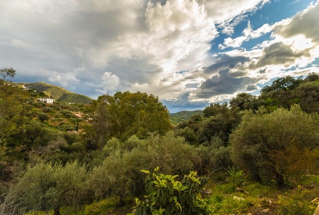 4 sovrum Hus till salu i Casabermeja med garage - 420 000 € (Ref: 9687465)