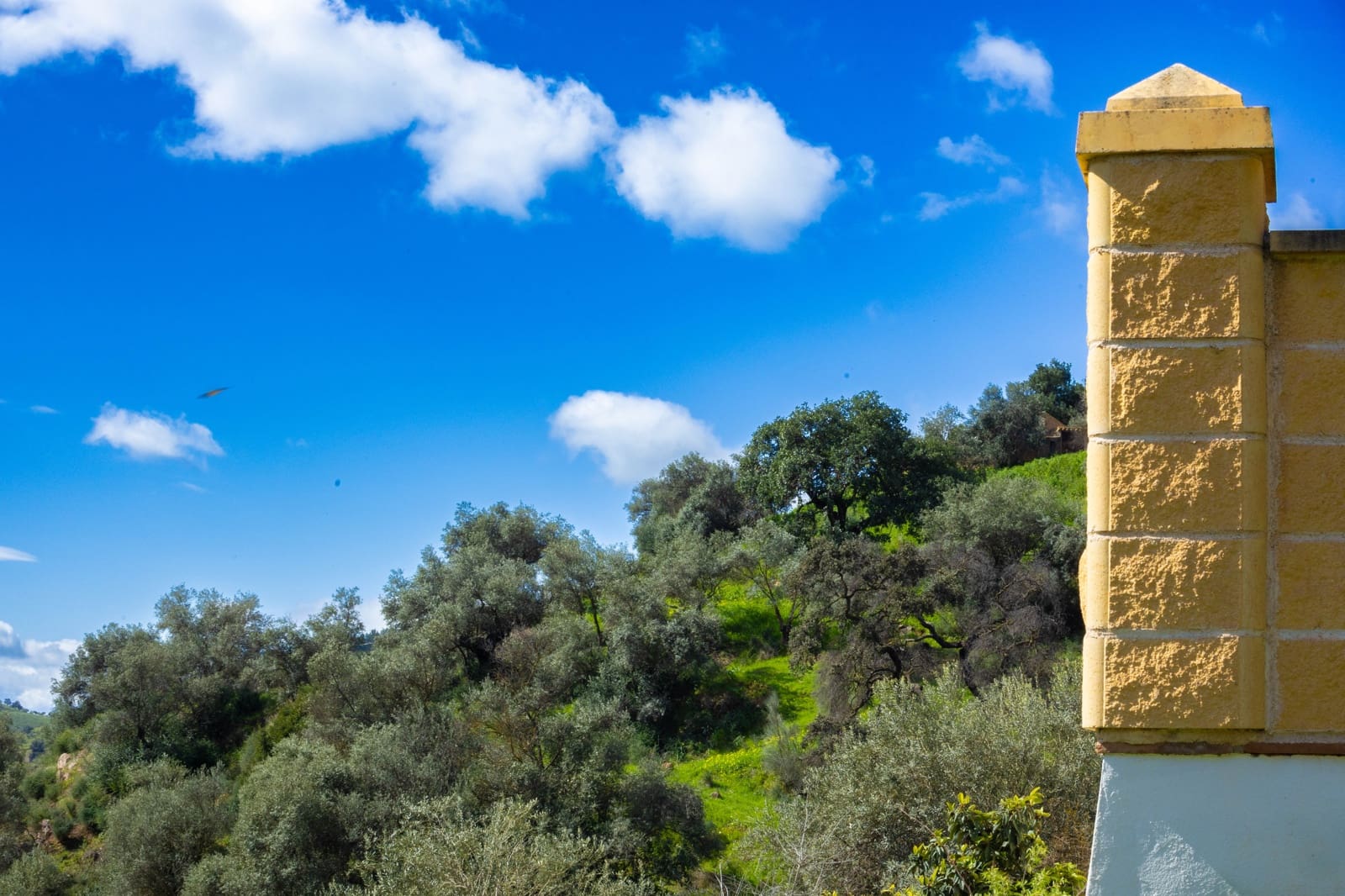 4 sovrum Hus till salu i Casabermeja med garage - 420 000 € (Ref: 9687465)