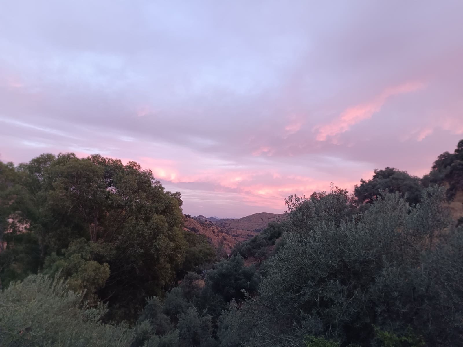 4 sovrum Hus till salu i Casabermeja med garage - 420 000 € (Ref: 9687465)