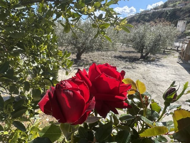2 camera da letto Finca/Casa di Campagna in vendita in Purchena - 63.000 € (Rif: 10133602)