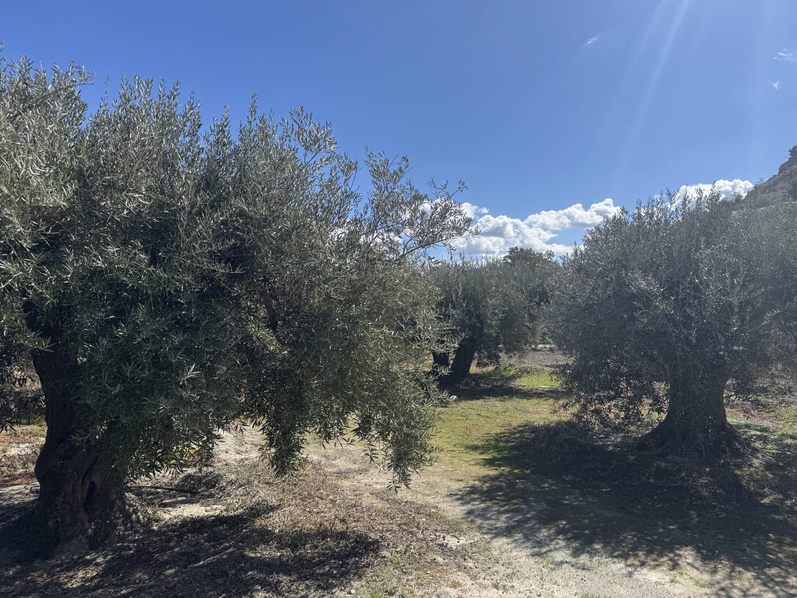 2 camera da letto Finca/Casa di Campagna in vendita in Purchena - 63.000 € (Rif: 10133602)