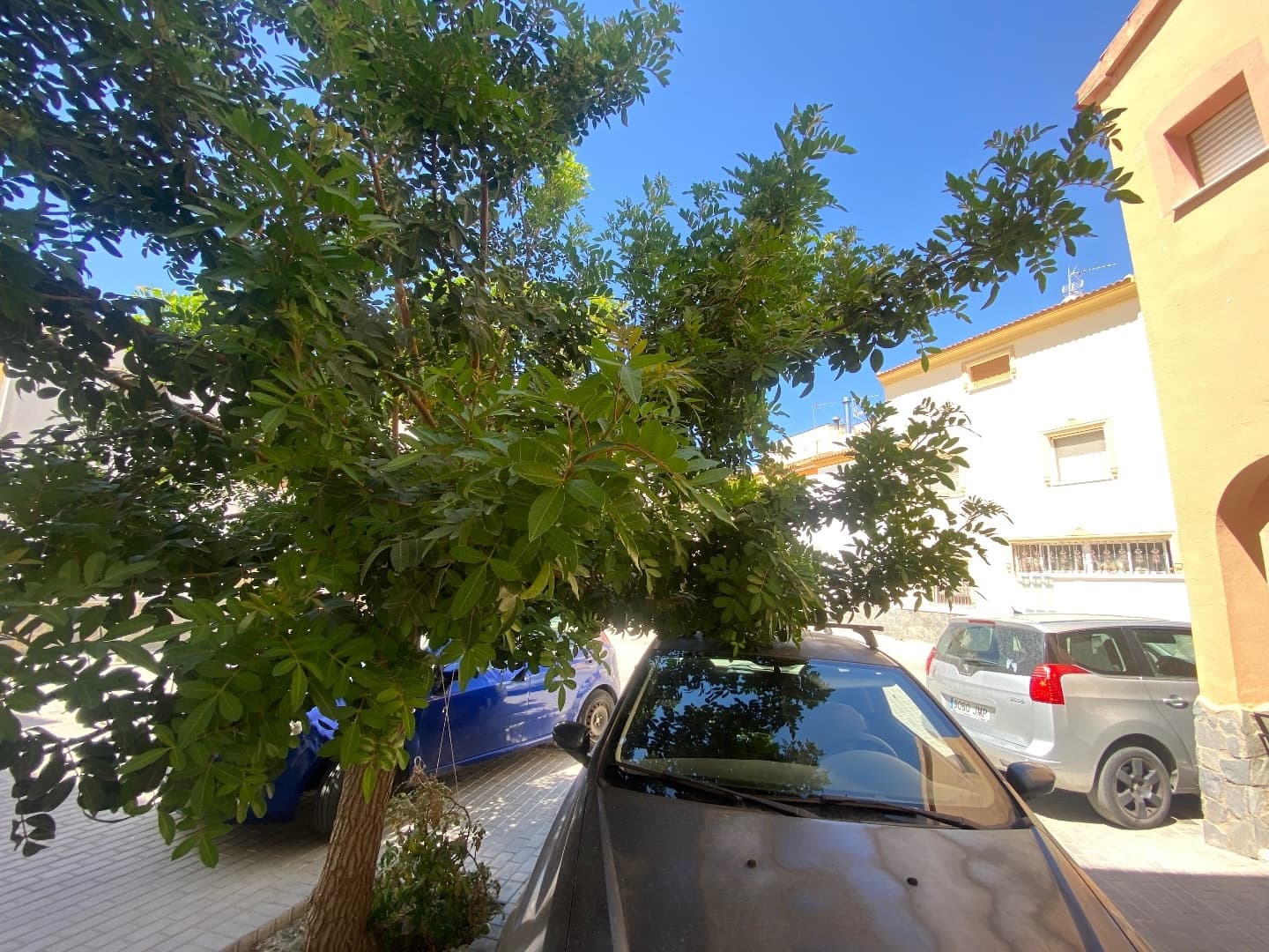 3 Zimmer Villa zu verkaufen in Purchena - 125.000 € (Ref: 9836839)