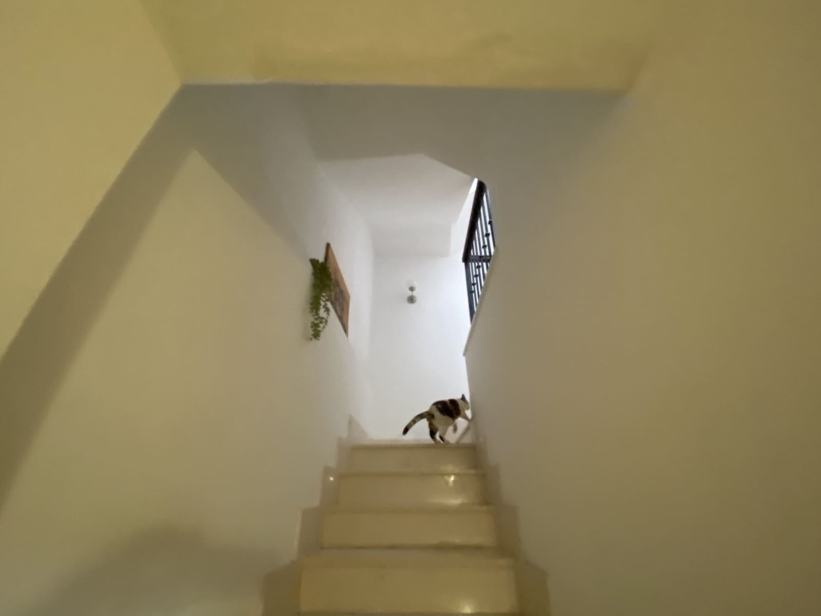 2 quarto Casa em Banda para venda em Purchena - 89 000 € (Ref: 9836843)