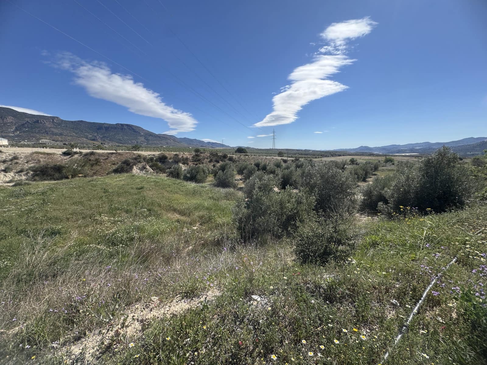 Finca/Casa Rural de 4 habitaciones en Purchena en venta con piscina - 299.000 € (Ref: 9836851)