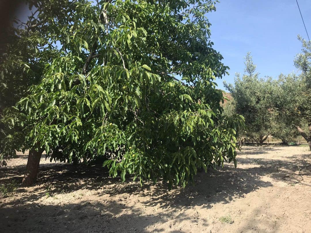 2 quarto Quinta/Casa Rural para venda em Purchena - 73 000 € (Ref: 9836854)