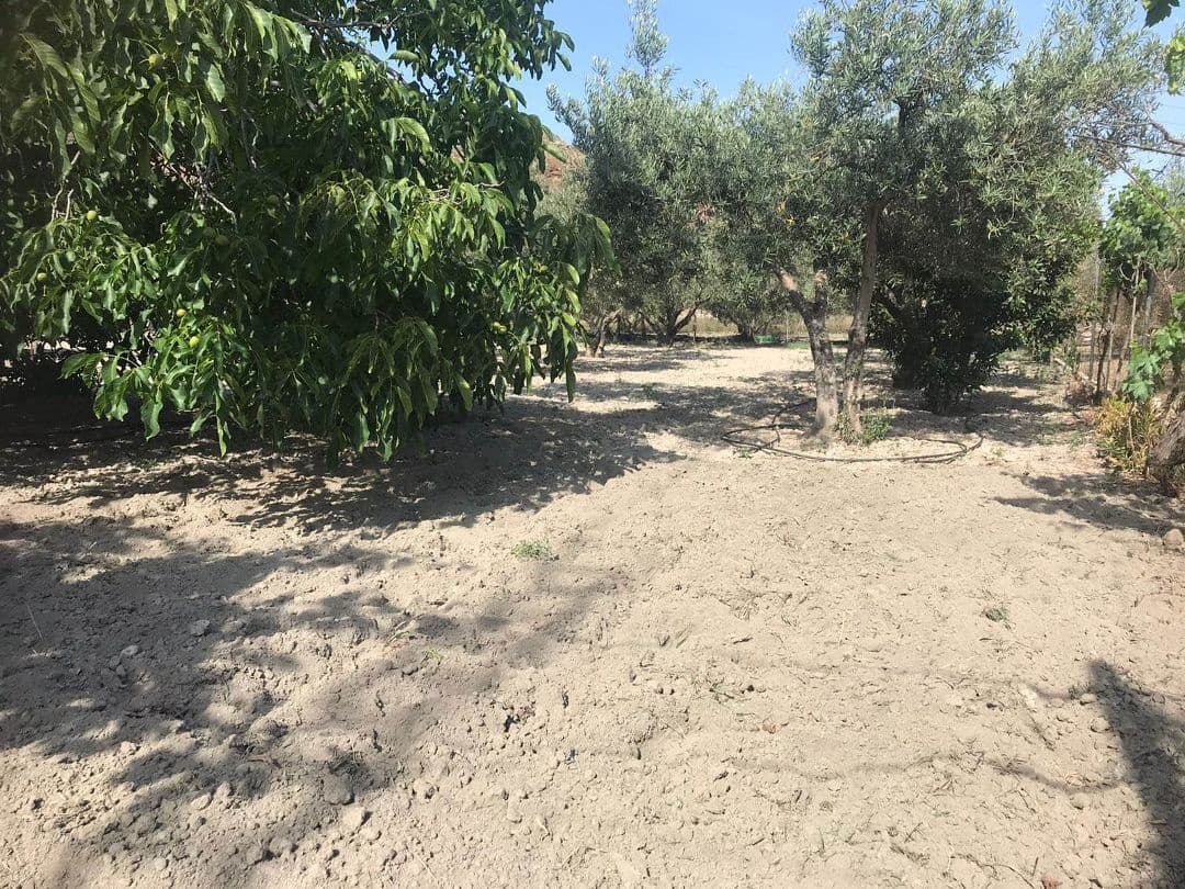 2 quarto Quinta/Casa Rural para venda em Purchena - 73 000 € (Ref: 9836854)