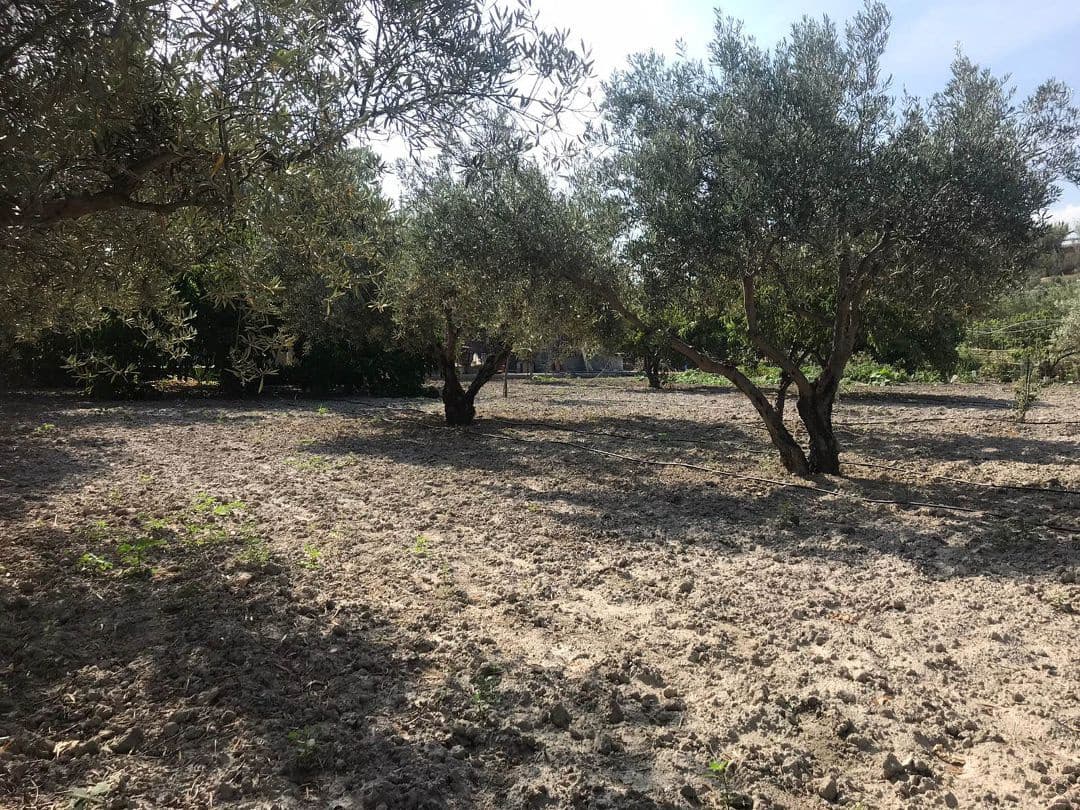 2 quarto Quinta/Casa Rural para venda em Purchena - 73 000 € (Ref: 9836854)