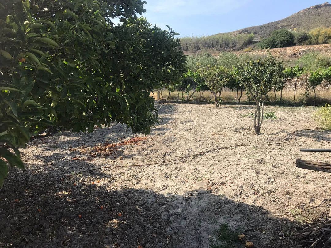 2 quarto Quinta/Casa Rural para venda em Purchena - 73 000 € (Ref: 9836854)