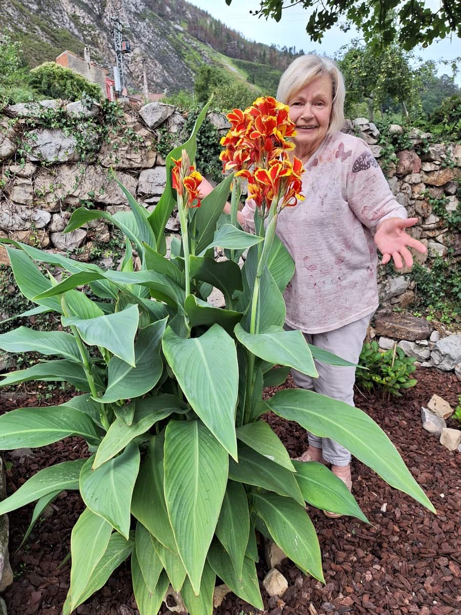 2 bedroom Finca/Country House for sale in Parres - € 285,000 (Ref: 9713388)