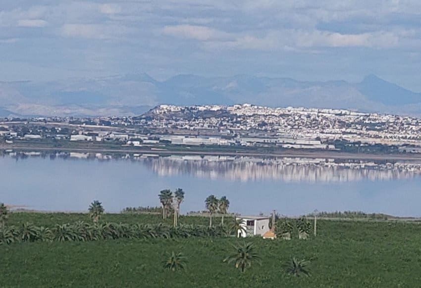 Apartamento de 2 habitaciones en Torrevieja en venta con piscina garaje - 300.000 € (Ref: 10029557)