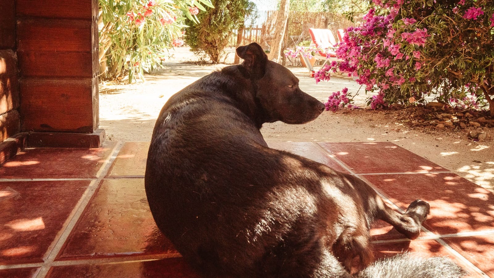 4 bedroom Finca/Country House for sale in El Palmar with garage - € 749,000 (Ref: 9733569)