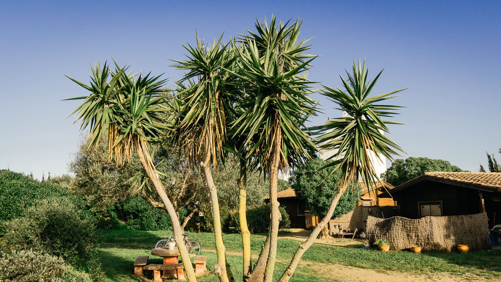 4 bedroom Finca/Country House for sale in El Palmar with garage - € 749,000 (Ref: 9733569)