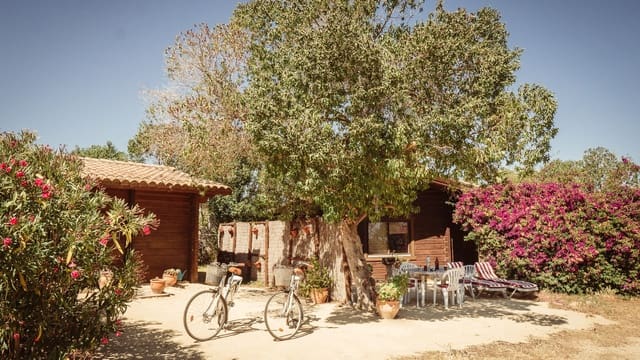 4 slaapkamer Finca/Landhuis te koop in El Palmar, Vejer de la Frontera met garage - € 749.000 (Ref: 9733569)