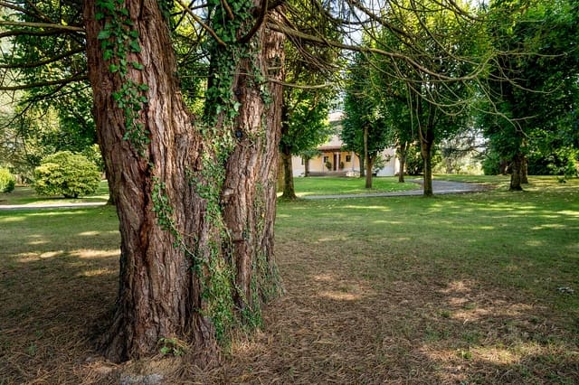 7 soverom Villa til salgs i Siero med svømmebasseng garasje - € 1 750 000 (Ref: 9735374)