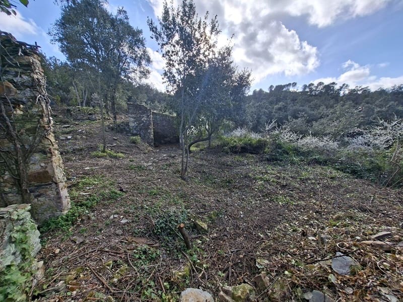 Ruine zu verkaufen in Cruilles Monells i Sant Sadurni de I'Heura - 220.000 € (Ref: 9734150)