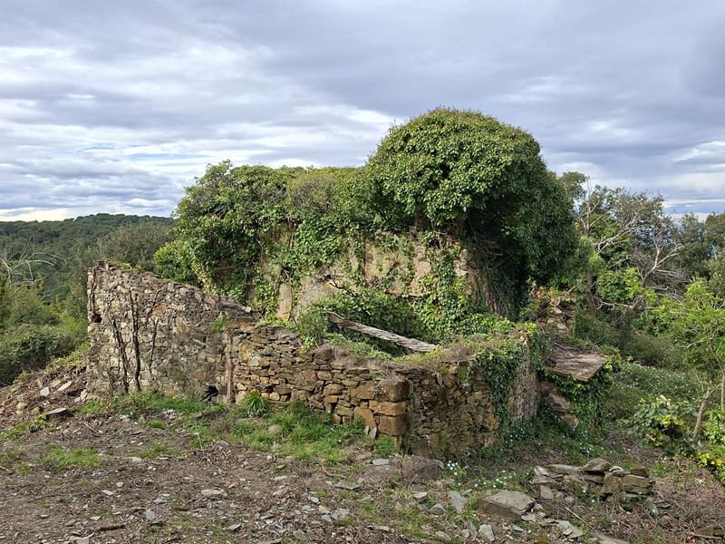 Ruine zu verkaufen in Cruilles Monells i Sant Sadurni de I'Heura - 220.000 € (Ref: 9734150)