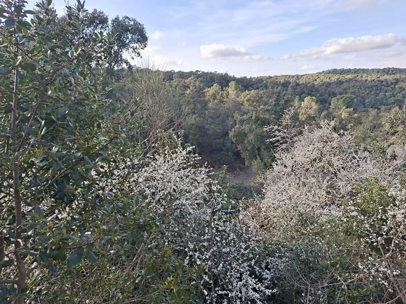 Ruine zu verkaufen in Cruilles Monells i Sant Sadurni de I'Heura - 220.000 € (Ref: 9734150)