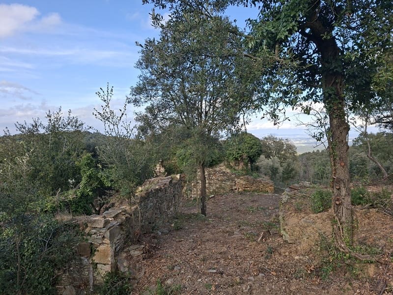 Ruine zu verkaufen in Cruilles Monells i Sant Sadurni de I'Heura - 220.000 € (Ref: 9734150)