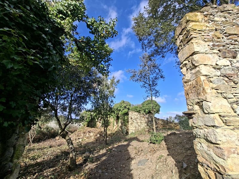 Ruine zu verkaufen in Cruilles Monells i Sant Sadurni de I'Heura - 220.000 € (Ref: 9734150)