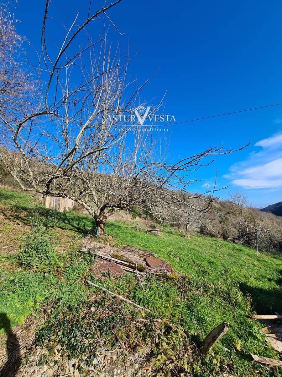 3 camera da letto Villa in vendita in Grado - 74.000 € (Rif: 9752574)