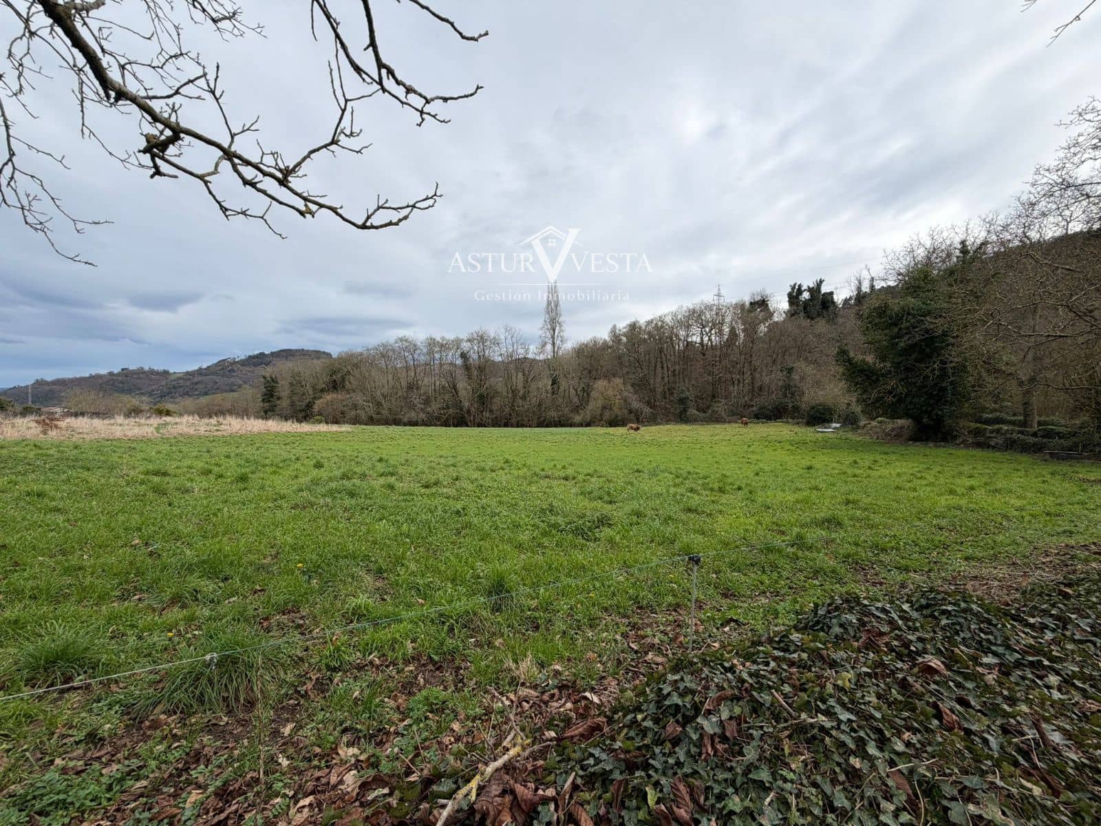 2 slaapkamer Villa te koop in Salas met garage - € 74.000 (Ref: 9762328)