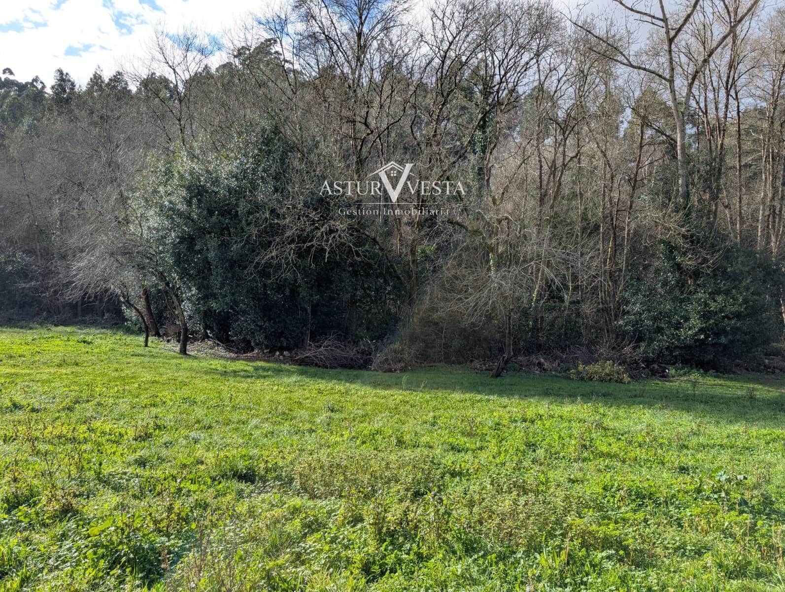 4 chambre Villa/Maison à vendre à Salas avec garage - 160 000 € (Ref: 9762329)