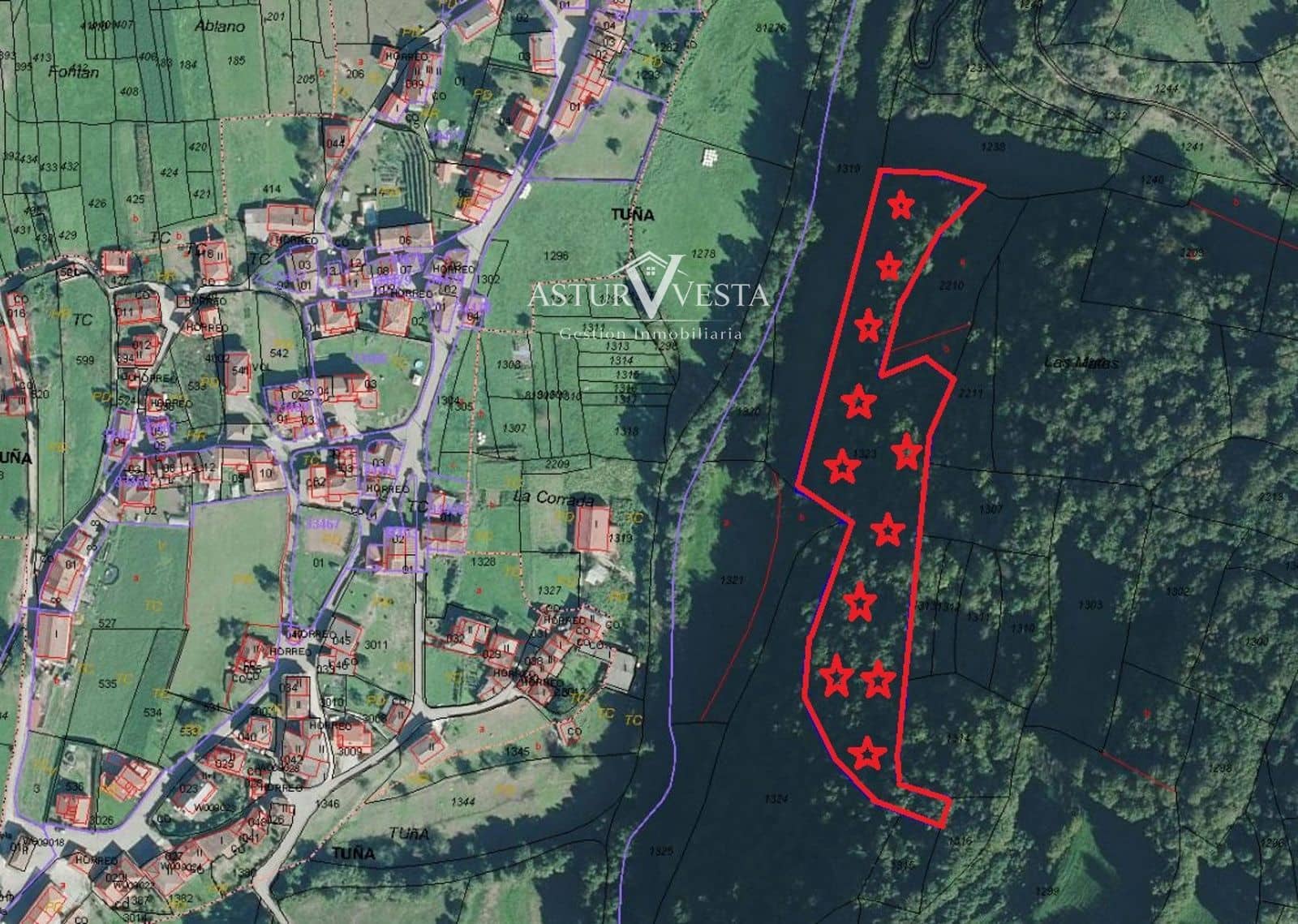 5 soveværelse Villa til salg i Tineo - € 99.000 (Ref: 9814155)
