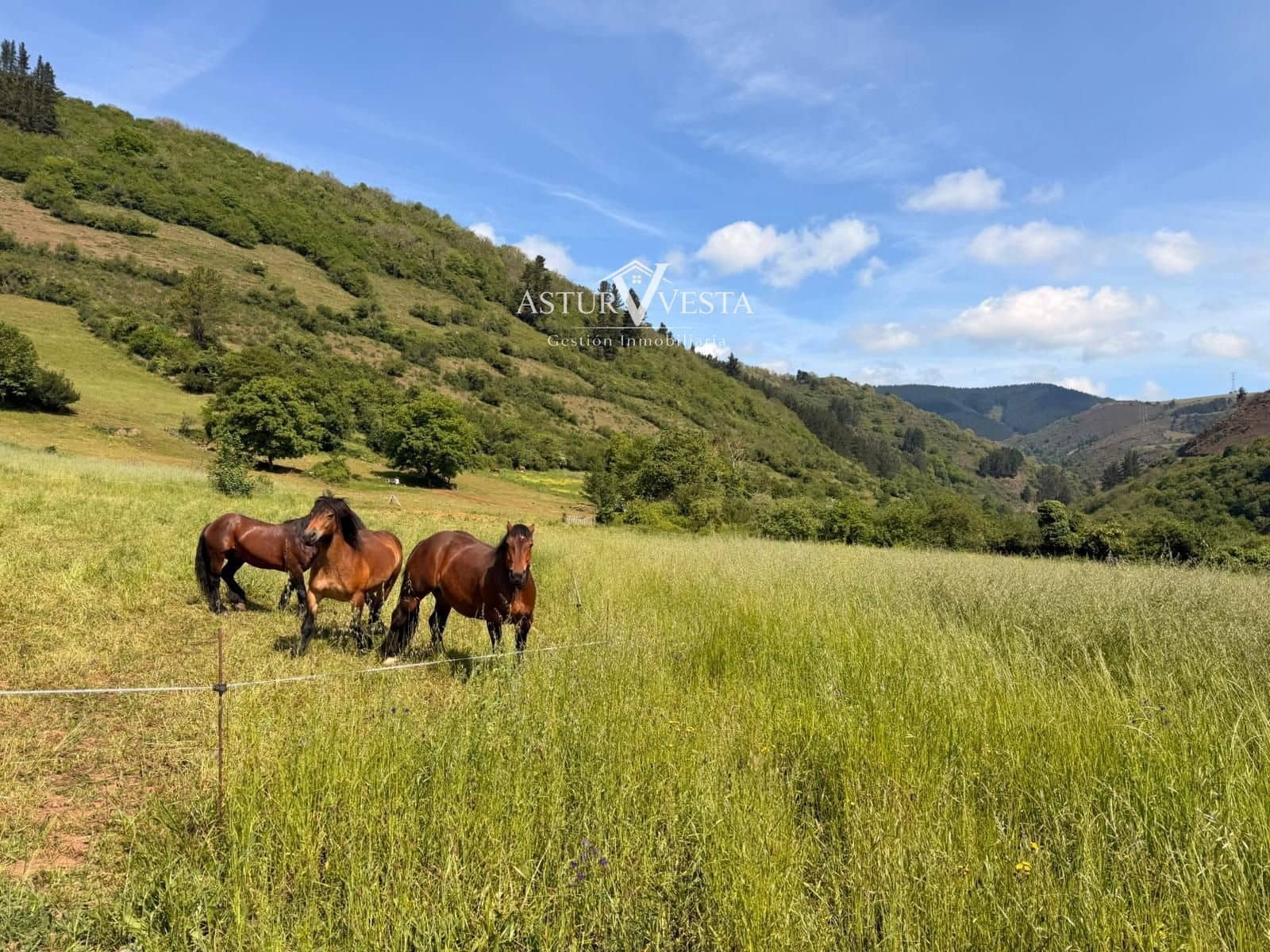 5 soveværelse Villa til salg i Tineo - € 99.000 (Ref: 9814155)