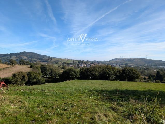 4 soveværelse Restaurant/Bar til salg i Tineo - € 47.000 (Ref: 9945029)