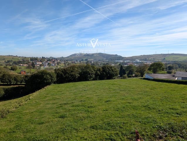4 soveværelse Restaurant/Bar til salg i Tineo - € 47.000 (Ref: 9945029)