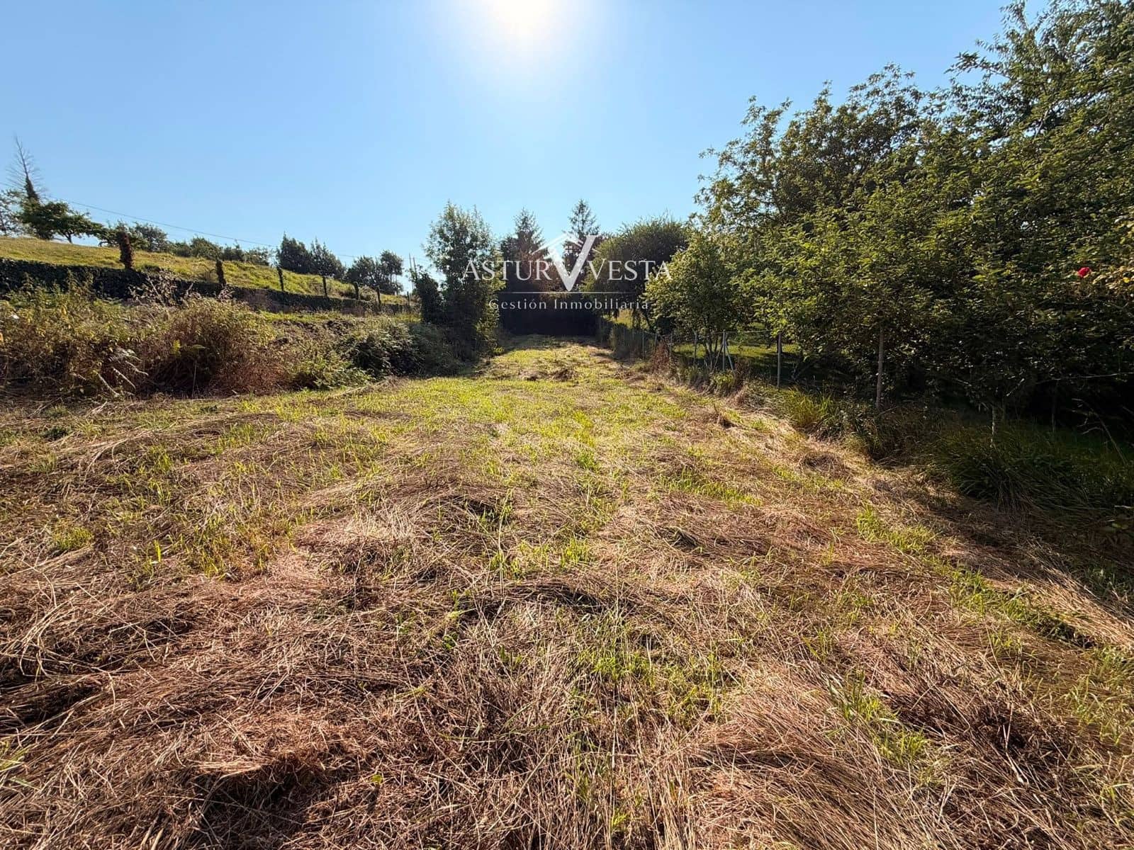 Tontti myytävänä paikassa Grado - 16 000 € (Ref: 9949075)