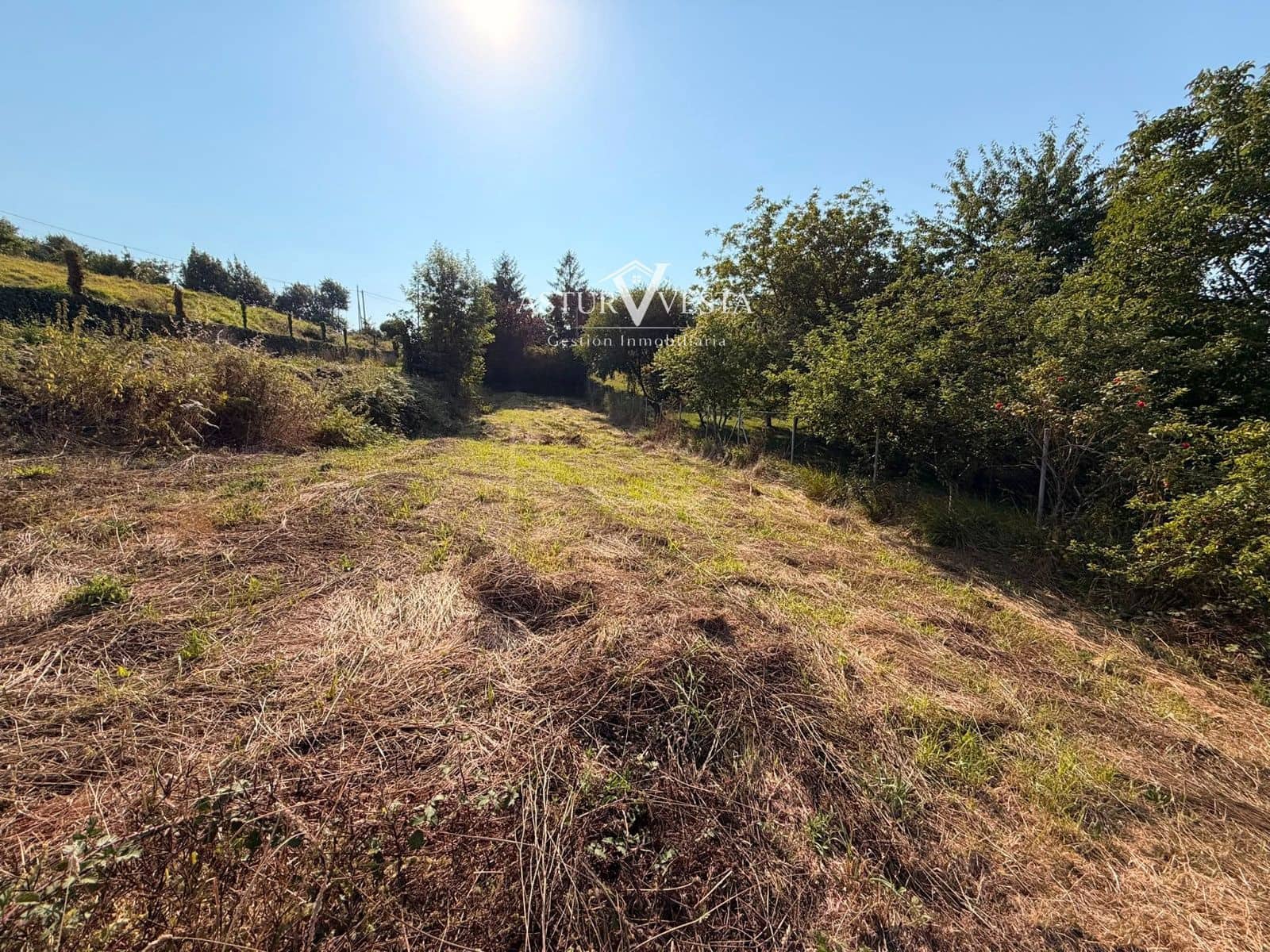 Tontti myytävänä paikassa Grado - 16 000 € (Ref: 9949075)