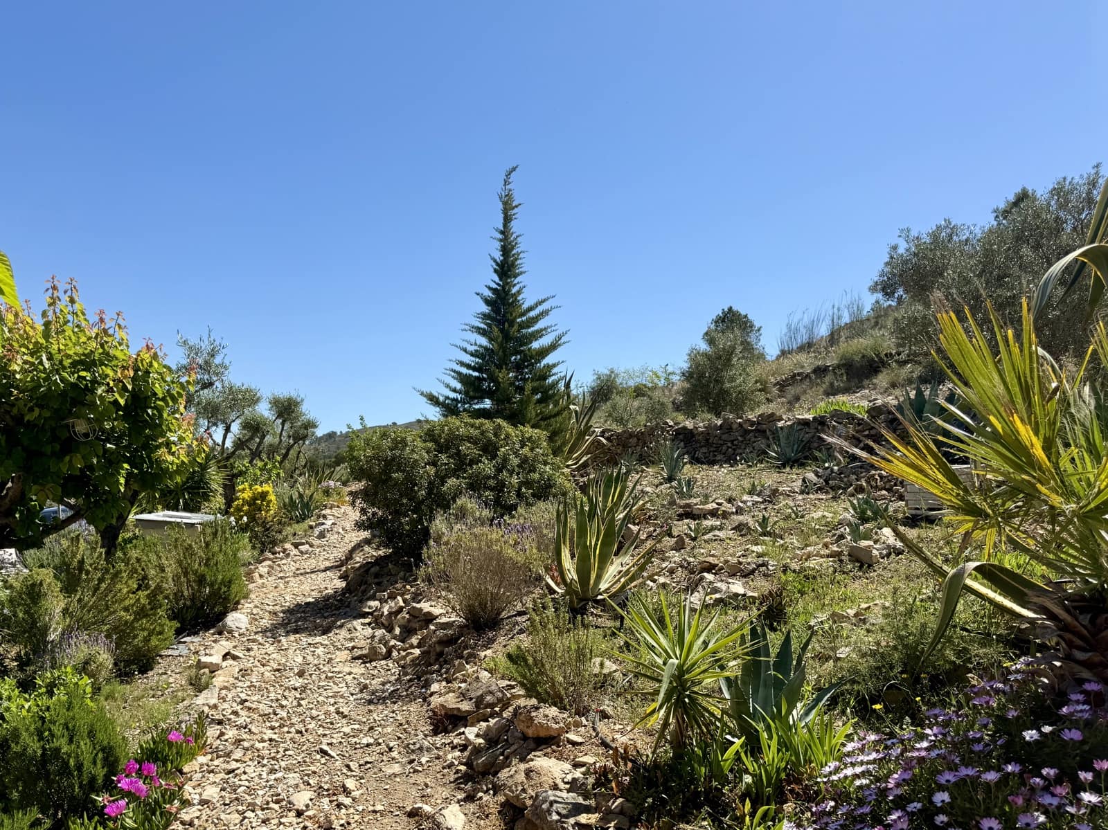 8 slaapkamer Villa te koop in Hondon de las Nieves met zwembad - € 900.000 (Ref: 9759376)