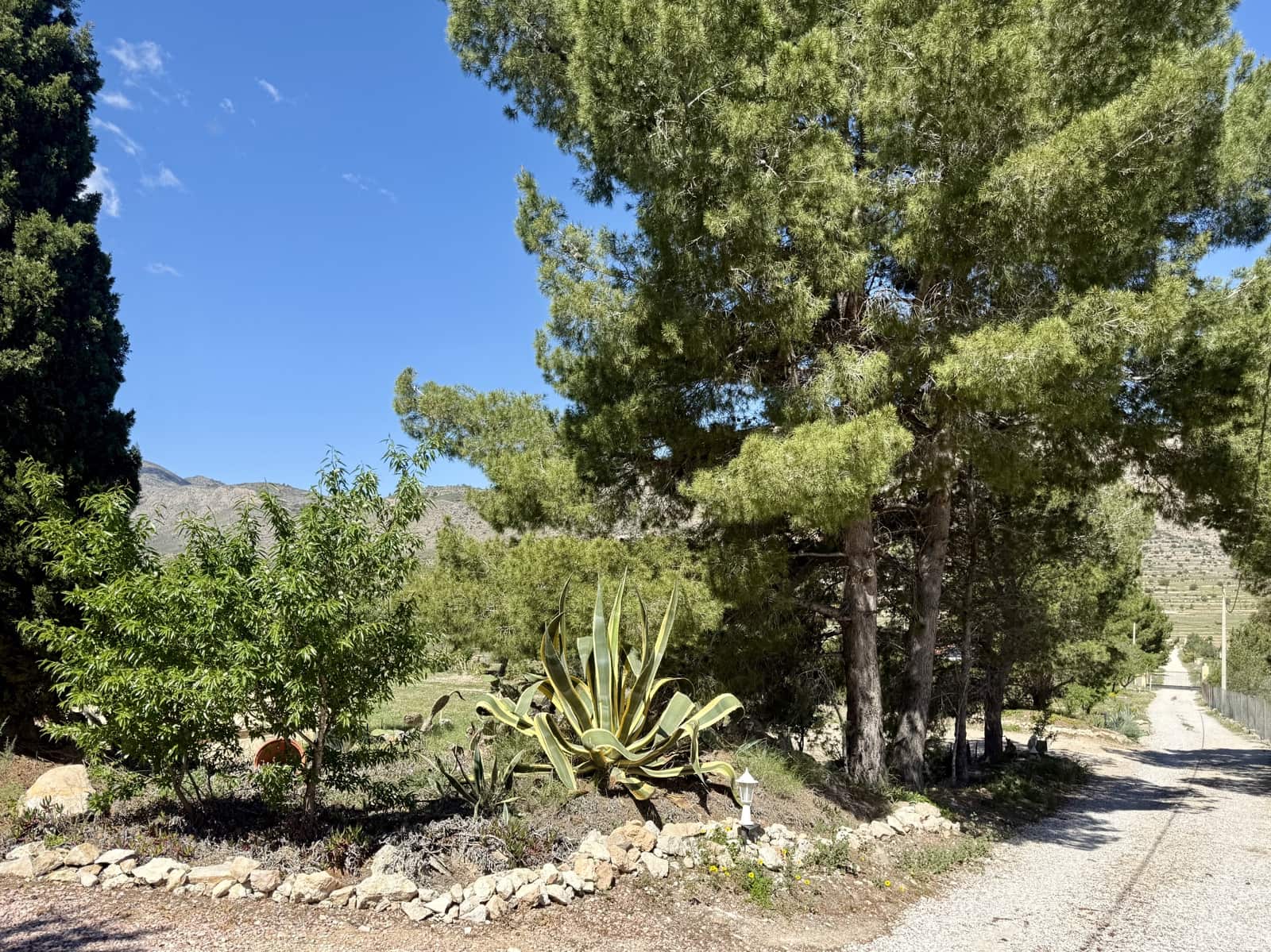 8 slaapkamer Villa te koop in Hondon de las Nieves met zwembad - € 900.000 (Ref: 9759376)