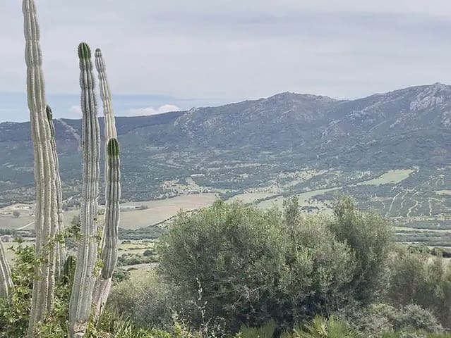 4 soverom Finca/Herregård til salgs i Tarifa med garasje - € 575 000 (Ref: 9977733)