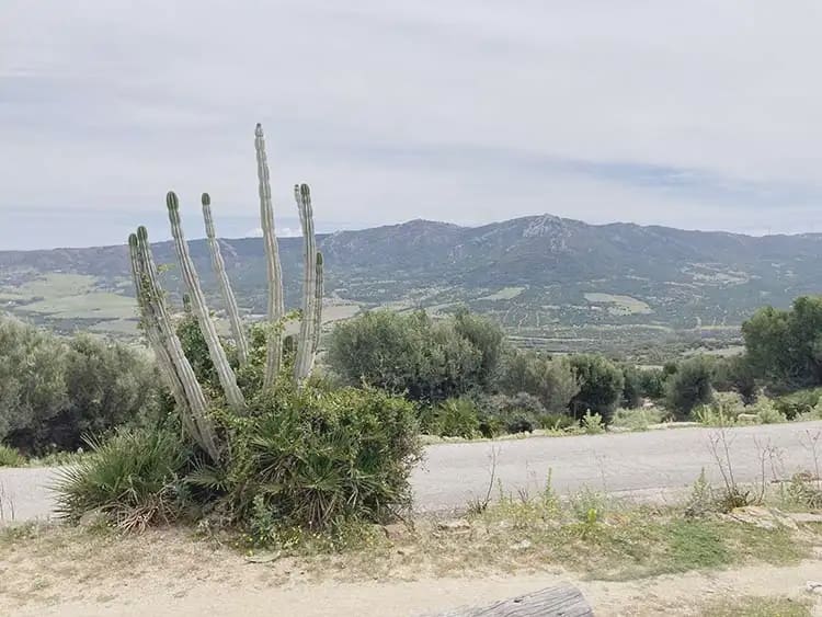 4 Zimmer Finca/Landgut zu verkaufen in Tarifa mit Garage - 575.000 € (Ref: 9977733)