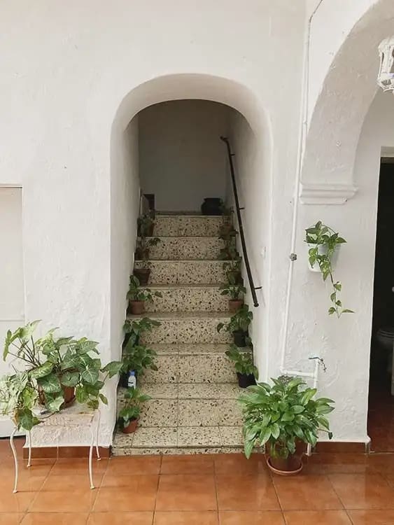 7 soverom Hus til salgs i Tarifa - € 629 000 (Ref: 9977740)