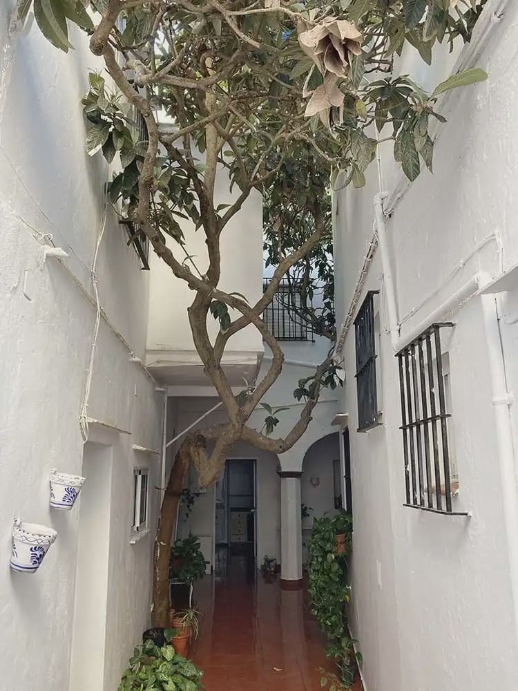 7 soverom Hus til salgs i Tarifa - € 629 000 (Ref: 9977740)