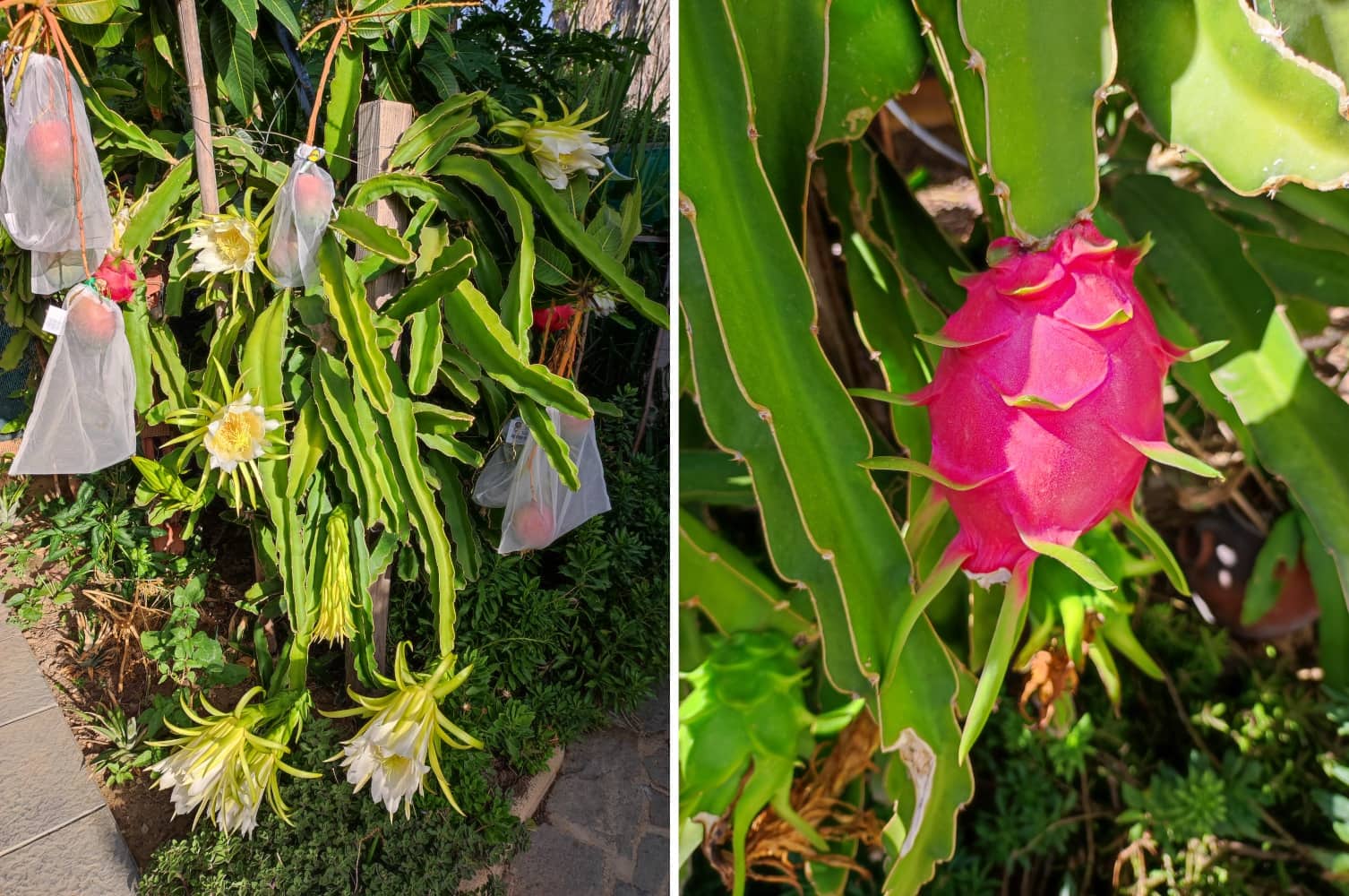 3 soveværelse Rækkehus til salg i Mijas Costa med swimmingpool garage - € 459.000 (Ref: 9758227)