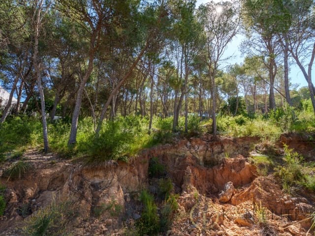 Byggetomt til salgs i Chiva - € 555 750 (Ref: 9784781)