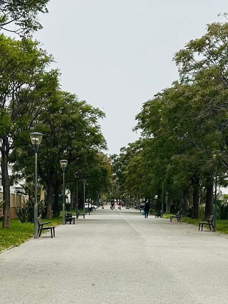 2 bedroom Penthouse for rent in Torre del Mar with pool garage - € 2,550 (Ref: 9765320)