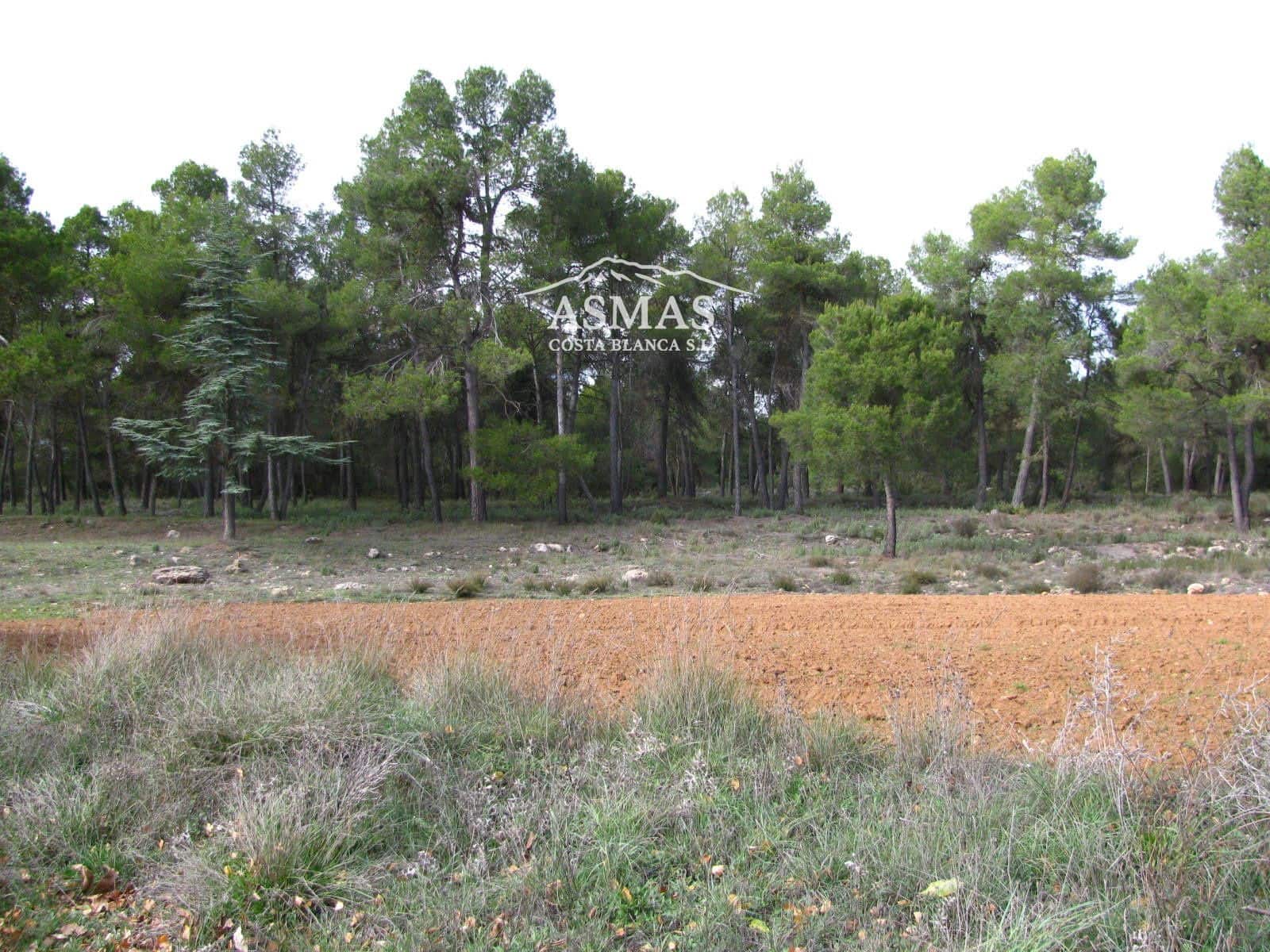 12 bedroom Villa for sale in Bocairent - € 700,000 (Ref: 9816585)