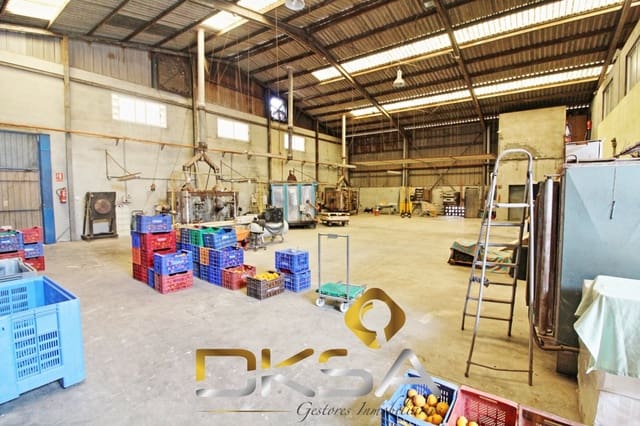 Azienda in vendita in Les Alqueries / Alquerías del Niño Perdido - 1.200.000 € (Rif: 9807900)
