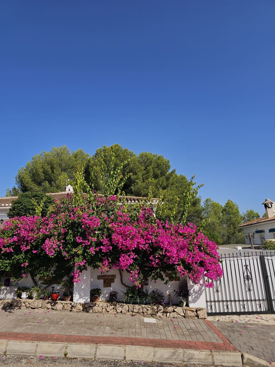 2 soverom Rekkehus til salgs i Rafol de Almunia med svømmebasseng garasje - € 219 000 (Ref: 9771936)