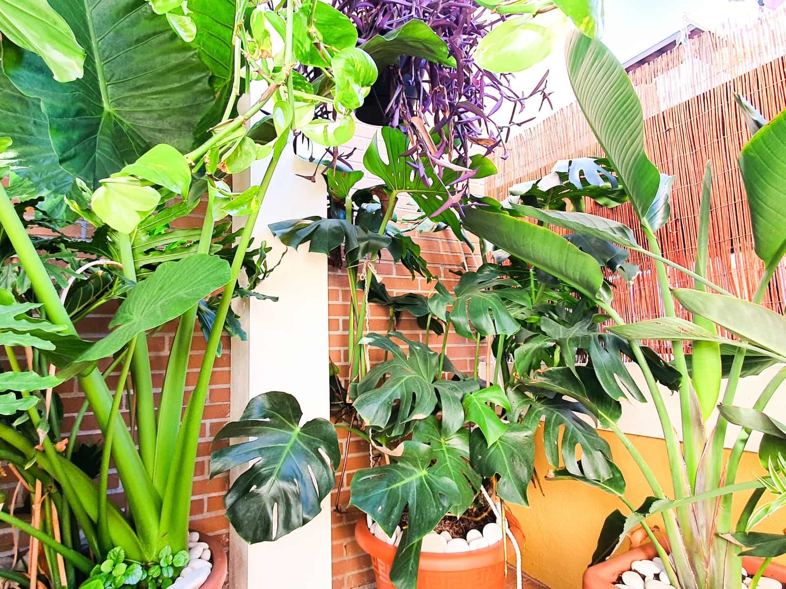 2 soverom Leilighet til salgs i Javea / Xabia med svømmebasseng garasje - € 385 500 (Ref: 9770038)