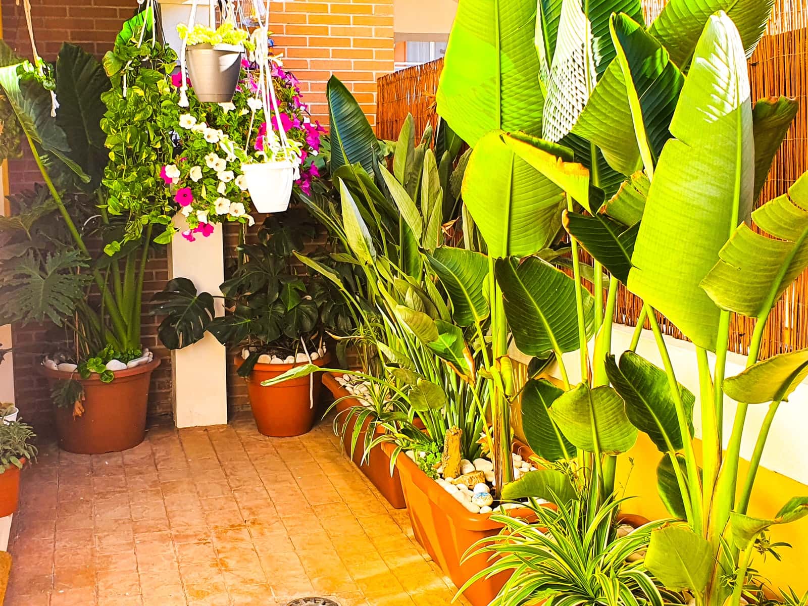 2 soverom Leilighet til salgs i Javea / Xabia med svømmebasseng garasje - € 385 500 (Ref: 9770038)