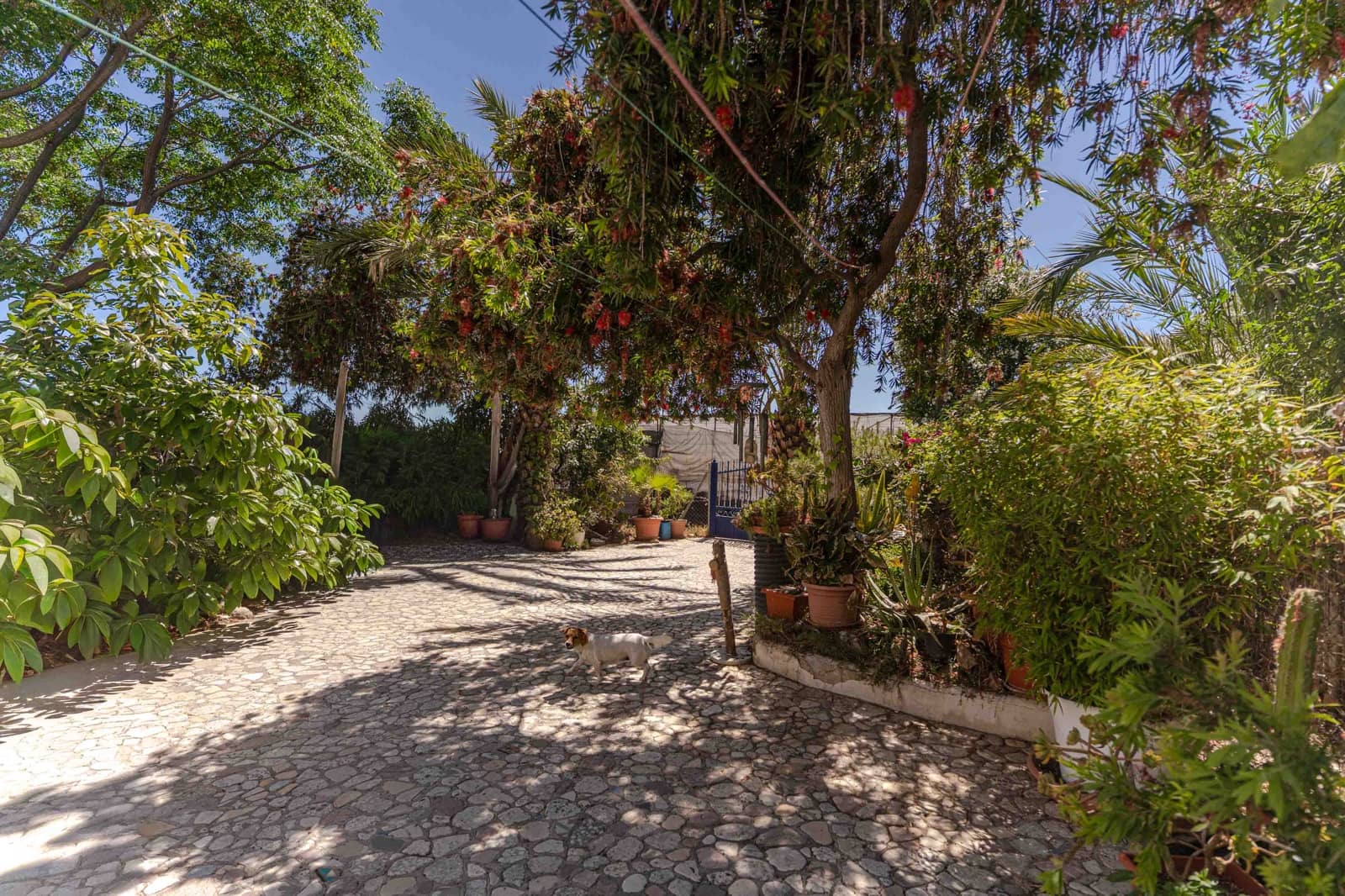 3 bedroom Townhouse for sale in Albunol with garage - € 159,900 (Ref: 9875279)