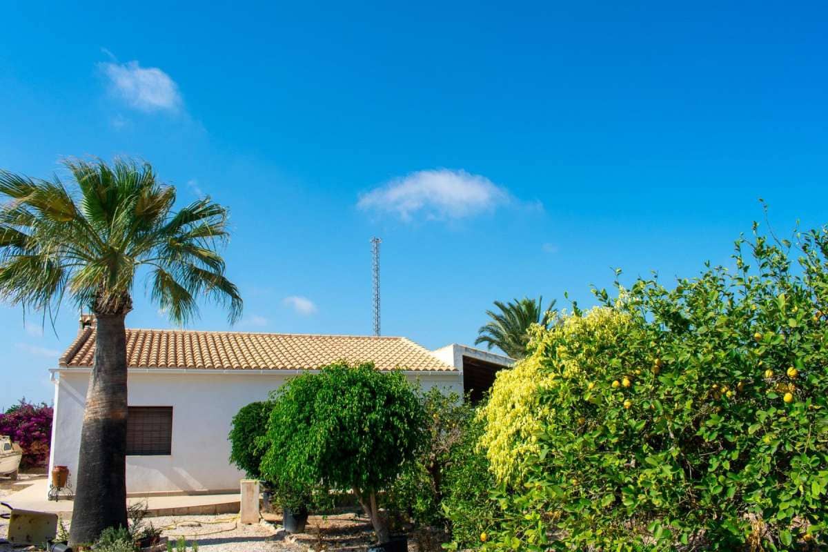 3 quarto Moradia para venda em El Raso com piscina - 590 000 € (Ref: 9946587)