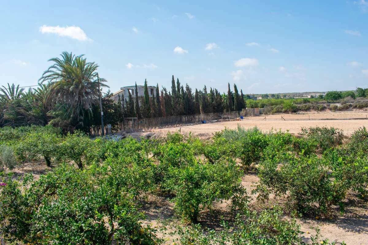 3 quarto Moradia para venda em El Raso com piscina - 590 000 € (Ref: 9946587)